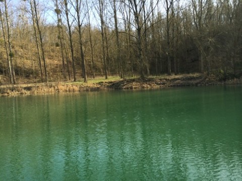 hwbhac7aru5kwdwyxwpp_480_480-29b254d9.jpg