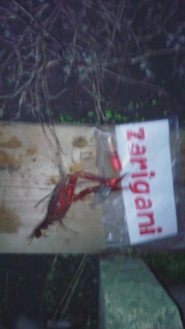 hwcnxnpiae2ox9o7df6b_518_920-1cdcdfa5.jpg