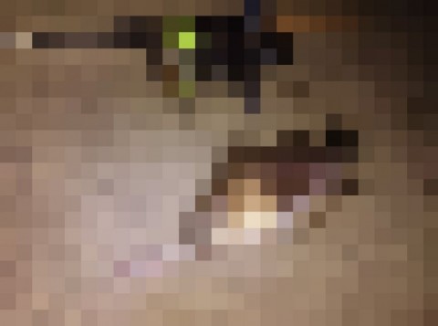 hwvb4iosws6bb6pcejib_480_480-09781bd4.jpg