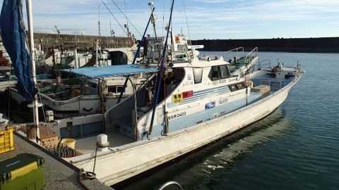 hwxkgscjabzfufrpc3di_480_480-396cdc6b.jpg