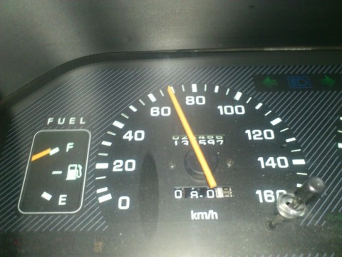 hwy46y6yg89nshehf6bj_480_480-d66bd917.jpg