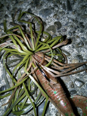 hx64tbnm4fa94vjsrc7v_690_920-afba618f.jpg