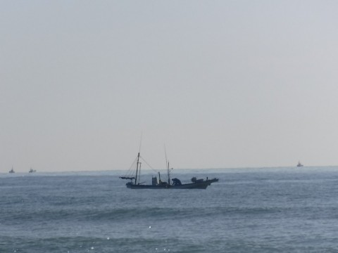 hx7bfphzfsdgjxnw553j_480_480-fe669098.jpg