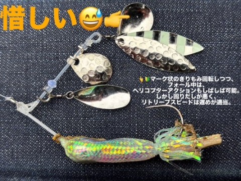 hxjca6pn8paxxdt7ac8w_480_360-9c824d63.jpg