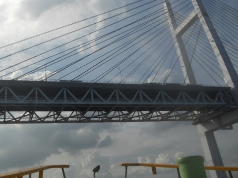 hxscsh4ask86dr5dizbz_480_480-5217d81d.jpg