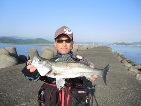 hxtd5m6sax28d7dyra9v_480_480-012c2fdc.jpg