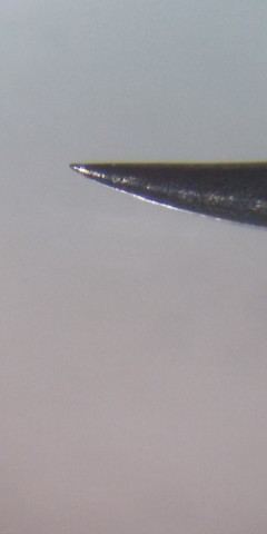 hxte5k2isix56bjihtu2_480_480-f1462949.jpg
