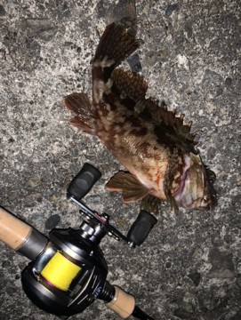 hxx3morbc8x57nkxmkkk_361_480-f0e16b08.jpg