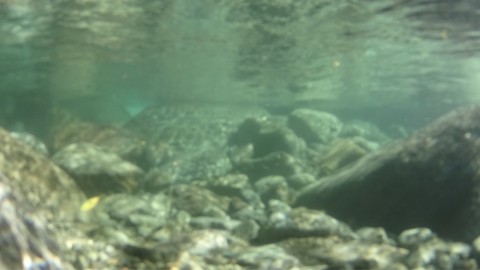 hy5wpg84s3i7c5ygx8vx_920_517-bf123464.jpg