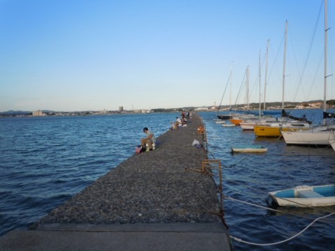 hy8rz25bvtd8edpxpu2i_480_480-9b481a61.jpg