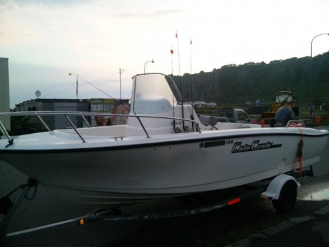 hyano4up3bwsbc8hdffy_480_480-2bf50587.jpg