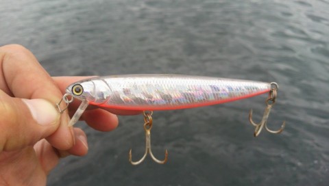 hyc4vsx38ocemhnibxcb_480_480-3edd4da4.jpg