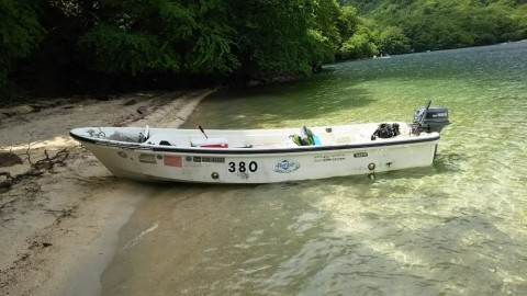 hyjcx983wmdfdfoiwrfj_480_480-cae834dc.jpg
