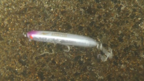 hyp9tzorx2ccd35xzaa9_480_480-cd6671cf.jpg