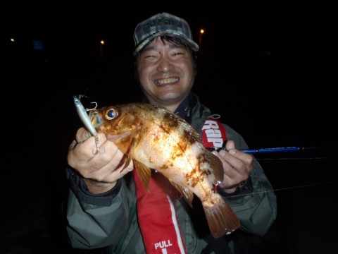 hyrzafrwkars65heykn5_480_480-4733c0f7.jpg
