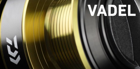 DAIWA : ヴァデル オフショア、ショアジギングリール