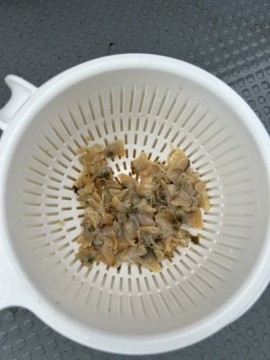 hzati2kg78ingifh6kk2_360_480-5f578fa2.jpg