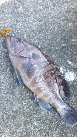 hzgkidifnduda3zs35j3_518_920-030c8d03.jpg