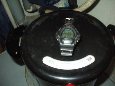 hzgtszojbj7yg9wszedi_480_480-6dd0b6db.jpg