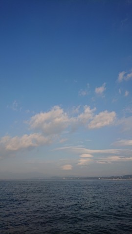 hzuwvdu5iptwfnx6igum_480_480-b6b0eff2.jpg