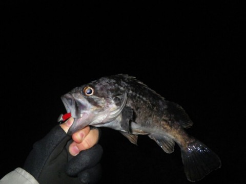 hzwuwgg7u4s6txuuy758_920_690-f71da664.jpg