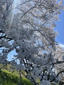 hzyiu3j2cf4fx3hzrba5_361_480-d0f77404.jpg