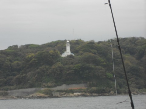 i284jakspuikfi73n62h_480_480-2b37783a.jpg