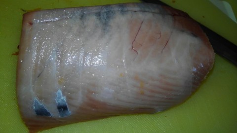 i2ghdbphpobebokhausu_480_480-9613269b.jpg