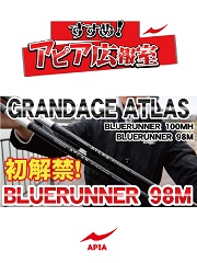 アピアスタッフブログ】 開発 松本ログ「GRANDAGE」 STD. /XD