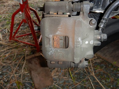 i2tx4y652rmree47bus6_480_480-2978acee.jpg