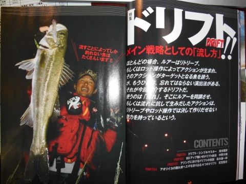 i3227xci9fimzbmu5kso_480_480-bc765033.jpg