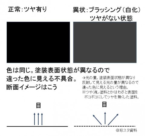 i459m3fmi67snmrjevvs_480_480-cfa6db5b.jpg