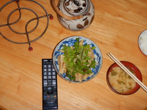i4ahoied5wiev2sgpzc6_480_480-5d6baa9e.jpg