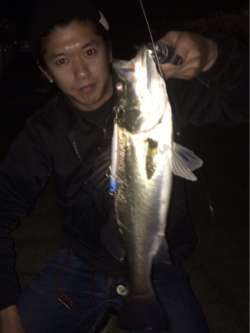 i4to66wnb8yy6292x65d_690_920-b468ae76.jpg