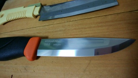 i4zcmrx68e56haiunkcf_480_480-8e245feb.jpg
