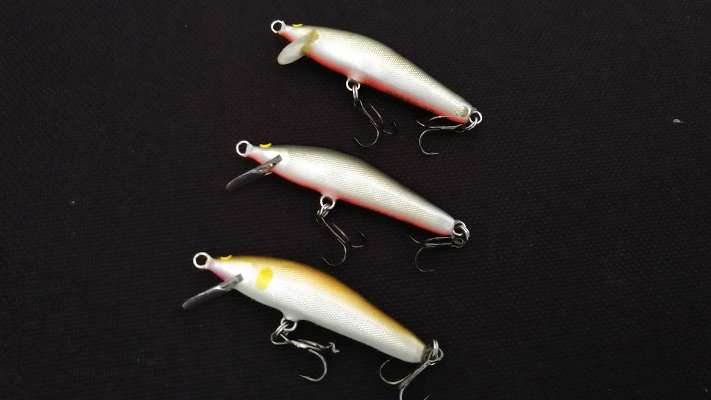 ザウルス バルサ50 ブラウニー 5S 5cm シンキング