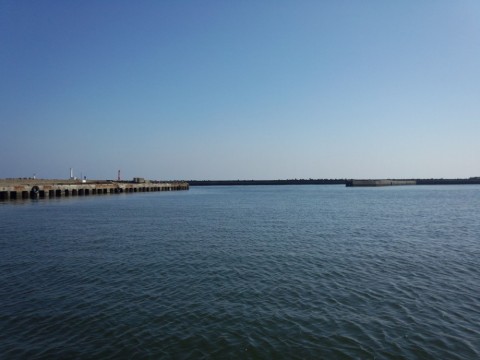 i5rciycmz9xev68d88dg_480_480-9fa31732.jpg
