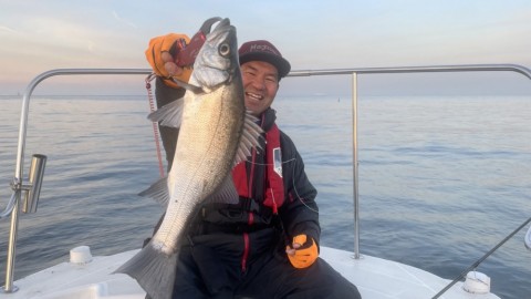i66ojifakyip6zfk5ezu_480_480-f08b9123.jpg