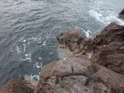 i6dnyi937b7s47apeuu9_480_480-0871316e.jpg