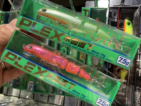 i6i8xagcrsdvorjejxys_480_480-b9de202b.jpg