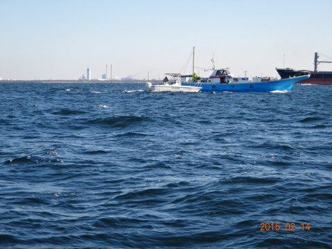 i6om9andg8bx2c2ci3yp_480_480-aba69f72.jpg