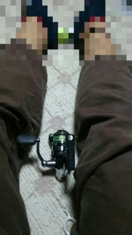 i7jvx8hcih9sevez6s4d_518_920-b018bbb8.jpg