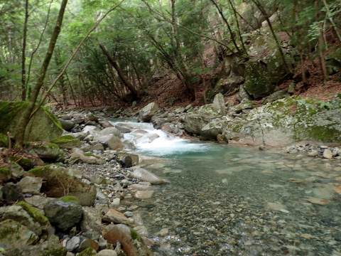 i7moupwtc5no7px8drjz-d516989d.jpg