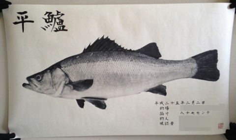 i9eda7wu5azua87sdkxs_480_480-ef491896.jpg