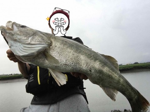 i9ffvvjo8g2936jszogc_480_360-7b72b8bf.jpg