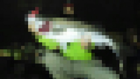 i9fw83uv57dgznzgk4vn_920_517-a5261646.jpg