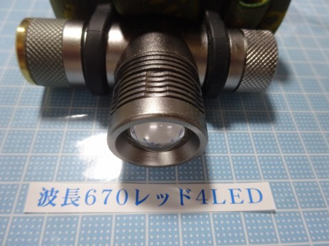 i9kses6gzhnmvsy6p4v9_480_480-c788dd5f.jpg