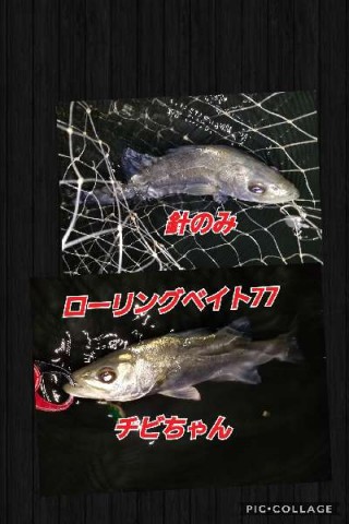 i9mp4aasgtozr87h8evy_480_480-95e48134.jpg