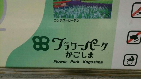 ia3jjgkse5vtr6x2vv3o_920_517-0c8b3cf4.jpg