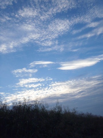 ia7spb9obbhra49hvzab_480_480-8b93835e.jpg